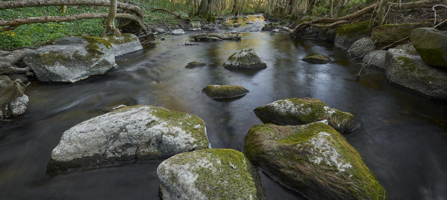 Naturlandsskab Vejstrup Ådal i Svendborg Kommune