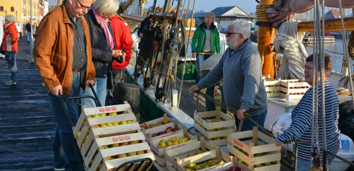 Äpfel auf dem Hafen