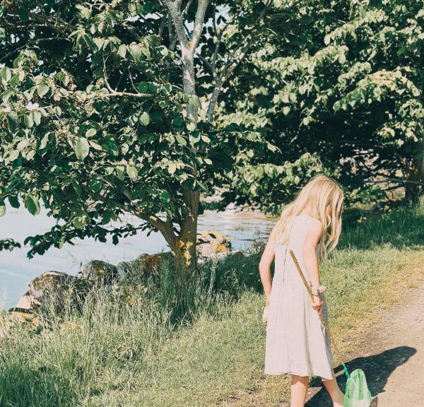 Sommer i Svendborg