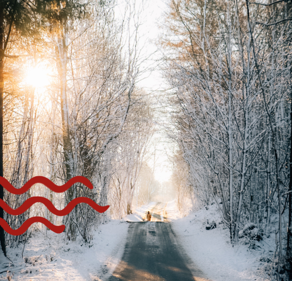 Jul i Svendborg