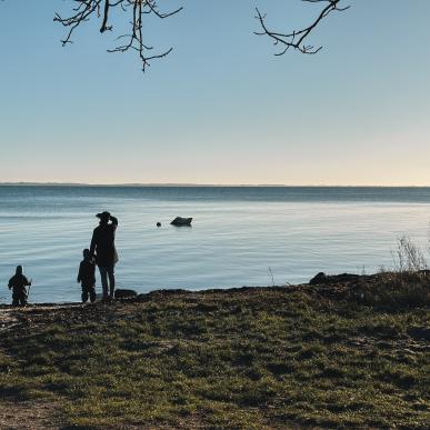 vinter, vand, strand børn