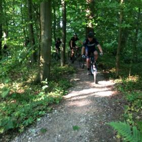 Mountainbike track brücke