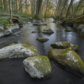 Naturlandsskab Vejstrup Ådal i Svendborg Kommune